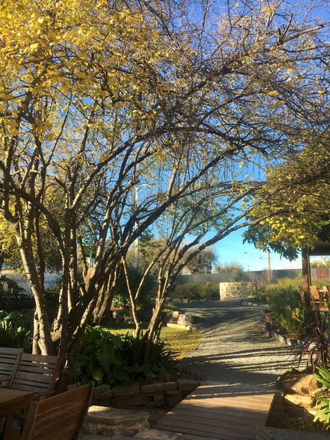 Velvet And Willow Wines - Hotel WA 10