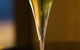 Soiree - thumb 13