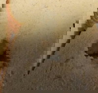 Sugarloaf Baking Co - Hotel WA