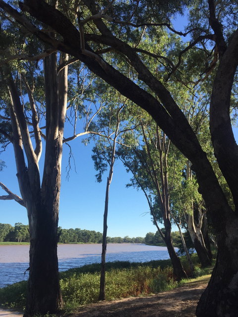 The Cobb & Co Hotel - Hotel WA 1