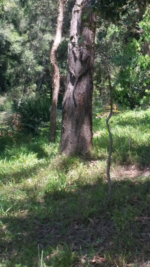 Broken River Kiosk - Hotel WA 1