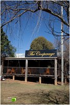 Prendergasts Irish Tavern - Hotel WA 1