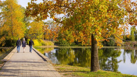 Crowne Plaza Canberra - Hotel WA 17