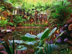 Daintree Eco Lodge & Spa - Hotel WA 0