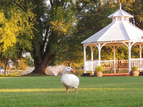 Parklands Resort & Conference Ctr - Hotel WA 1