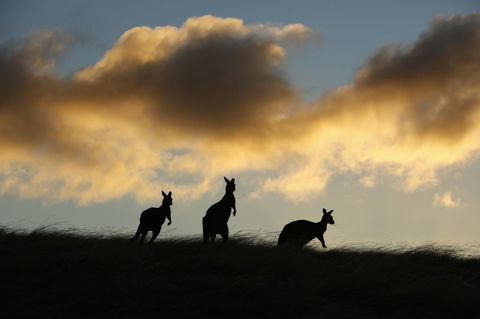 Sky House Kangaroo Island - Hotel WA 37