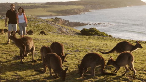 Kangaroo Island Seafront - Hotel WA 13