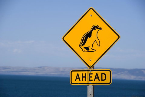 Kangaroo Island Seafront - Hotel WA 43