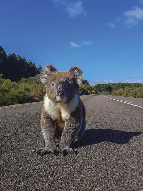 Kangaroo Island Seafront - Hotel WA 14