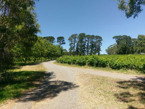 Lost In The Vines - Hotel WA 28