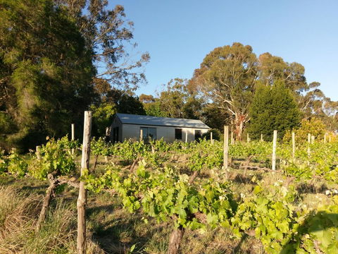 Lost In The Vines - Hotel WA 25
