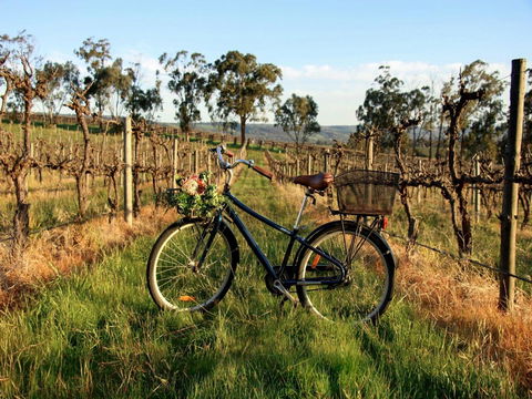 Lost In The Vines - Hotel WA 17
