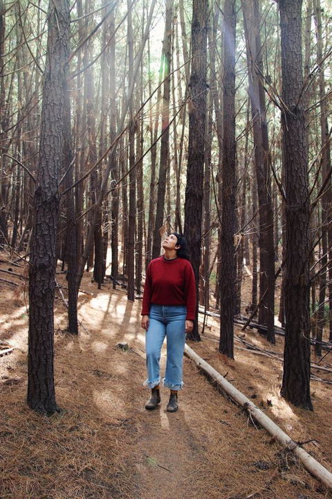Lost In The Vines - Hotel WA 19