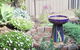 Baronet B & B - thumb 17