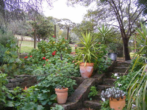 Trevalia Accommodation - Hotel WA 13