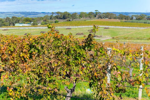 Sun & Surf Aldinga Beach Apartment - Hotel WA 15