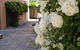 Monaco Court Apartment Adelaide - thumb 19