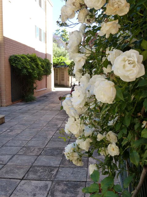 Monaco Court Apartment Adelaide - Hotel WA 19