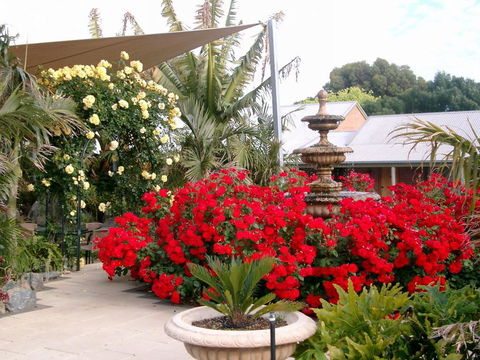 McLaren Vale Motel & Apartments - Hotel WA 35