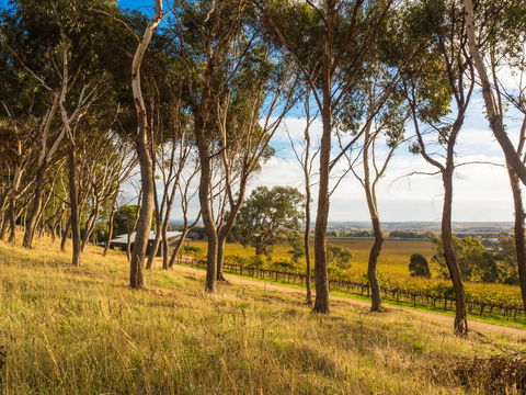 Shadow Creek McLaren Vale - Hotel WA 5