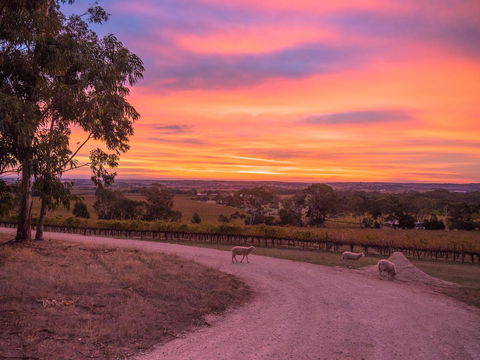 Shadow Creek McLaren Vale - Hotel WA 24