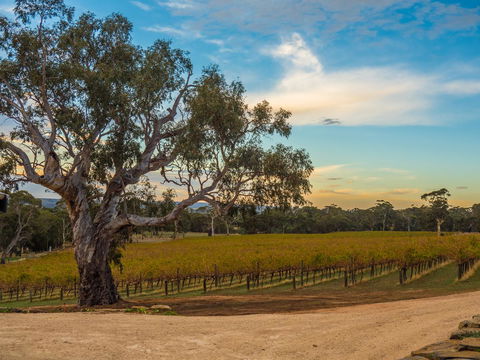 Shadow Creek McLaren Vale - Hotel WA 23