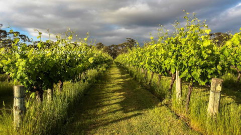 Shadow Creek McLaren Vale - Hotel WA 20