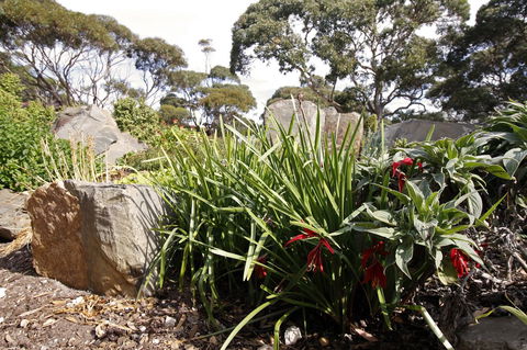 Cape Jervis Holiday Units - Hotel WA 6