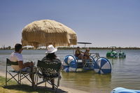 Book Barmera Accommodation Vacations Hotel WA Hotel WA