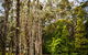 Ghost Hill Road Retreat - thumb 14