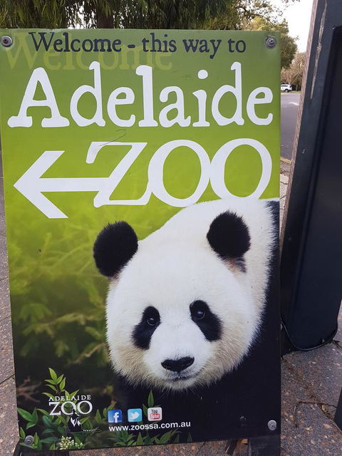Adelaide Style Accommodation-Close To City-North Adelaide-3 Bdrm- FREE Parking - Hotel WA 35