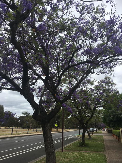 Adelaide Style Accommodation-Close To City-North Adelaide-3 Bdrm- FREE Parking - Hotel WA 34