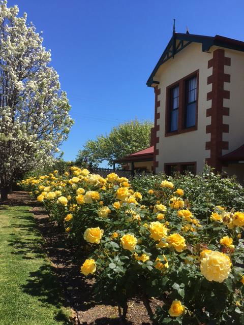 Wine And Roses Bed And Breakfast - Hotel WA 5