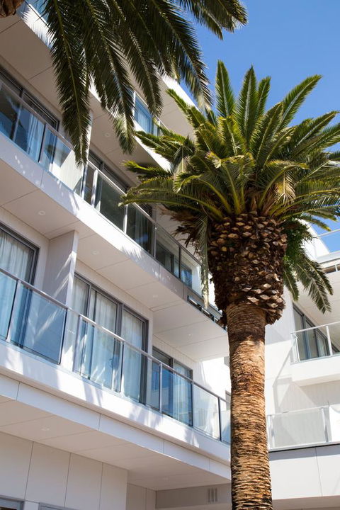 The Palms Apartments - Hotel WA 14