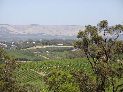 Elandra Holiday Home - Hotel WA 18
