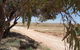 Di's Place - thumb 17