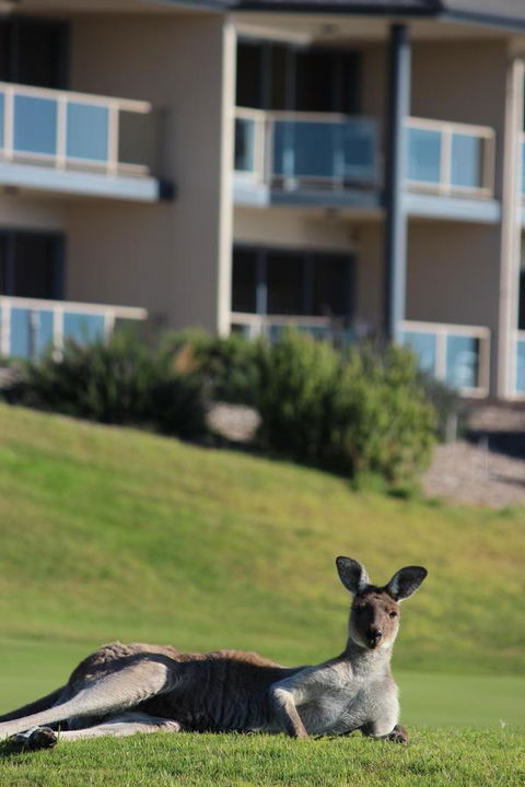 Lady Bay Hotel - Hotel WA 16