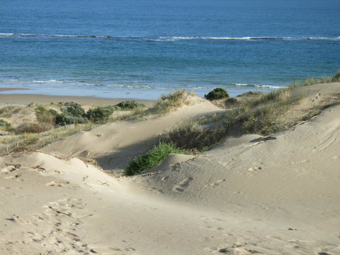 McCloud House - Hotel WA 10