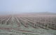 Vineyard Cottage BnB - thumb 12