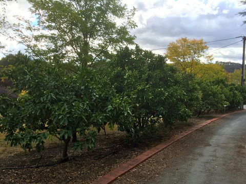 Vineyard Cottage BnB - Hotel WA 11