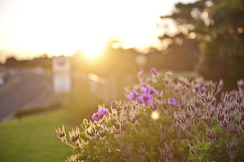 Kangaroo Island Seaside Inn - Hotel WA 33