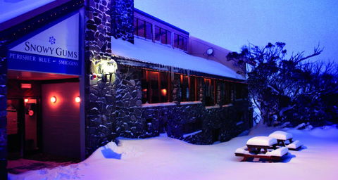 Snowy Gums Chalet - Hotel WA 3