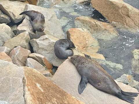 Penthouse On The Promenade - Hotel WA 17