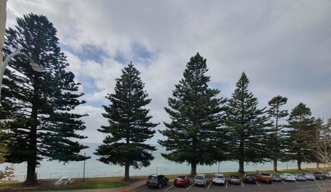 Pier Hotel Port Lincoln - Hotel WA 12