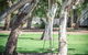 South Shores Yellowfin Villa 96 - South Shores Normanville - thumb 17