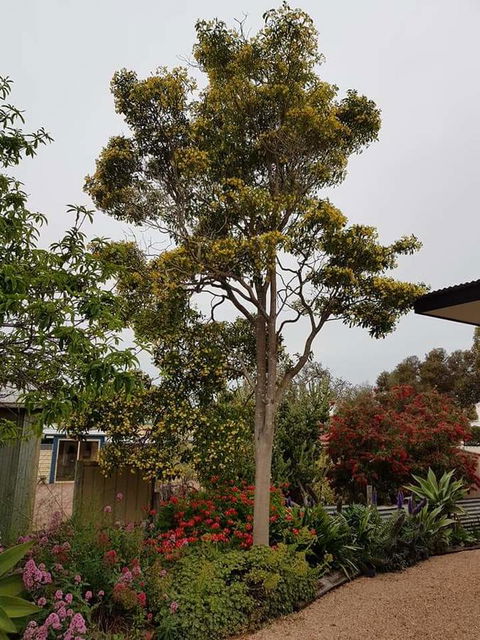 Sinclair Cottage - Hotel WA 25