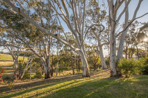 Discovery Parks - Hahndorf - Hotel WA 4