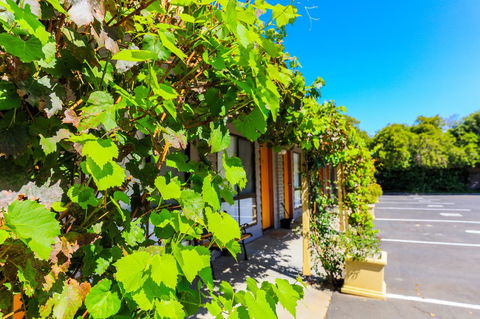 Country Roads Motor Inn Naracoorte - Hotel WA 18