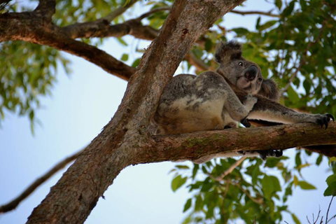 SummerHills Retreat Byron Bay - Hotel WA 36