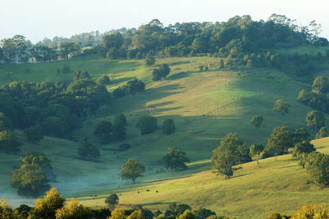 SummerHills Retreat Byron Bay - Hotel WA 20